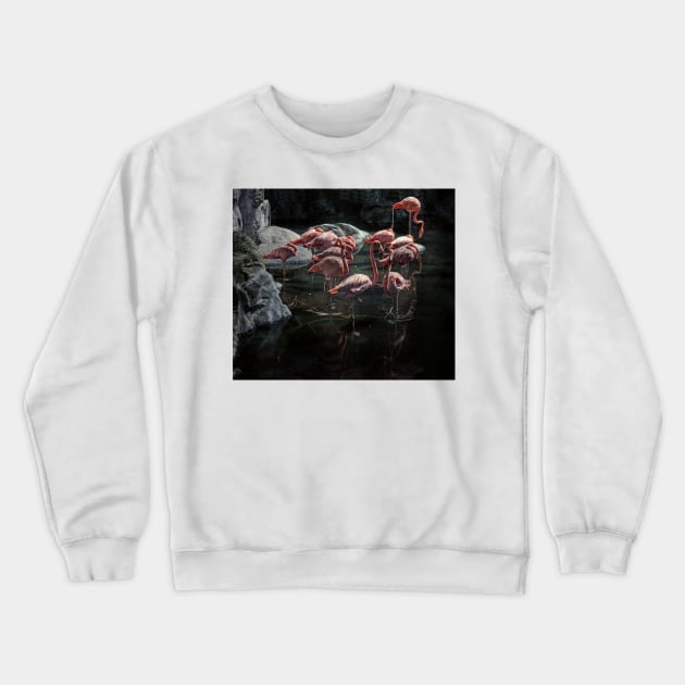 flamingos Crewneck Sweatshirt by jmpznz